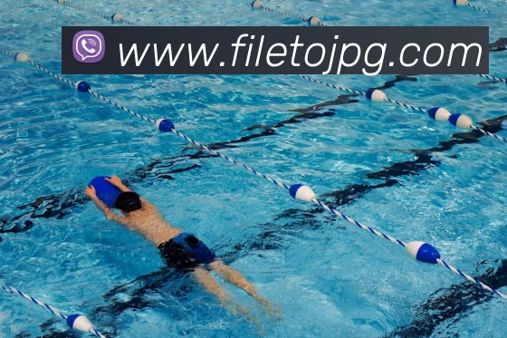平台展示图